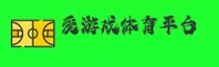 【官方】爱游戏体育AYX官方登录入口 - 2026新版