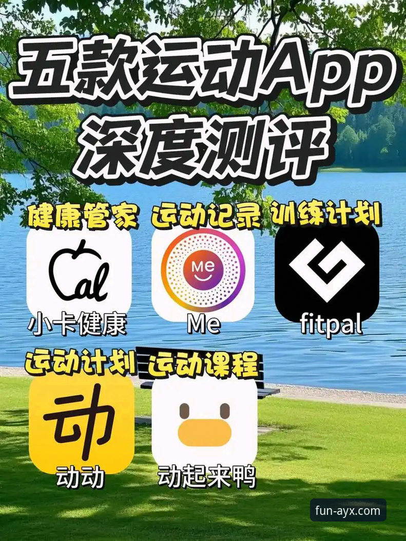 如何通过AYX体育app教程解锁移动体育娱乐新维度？